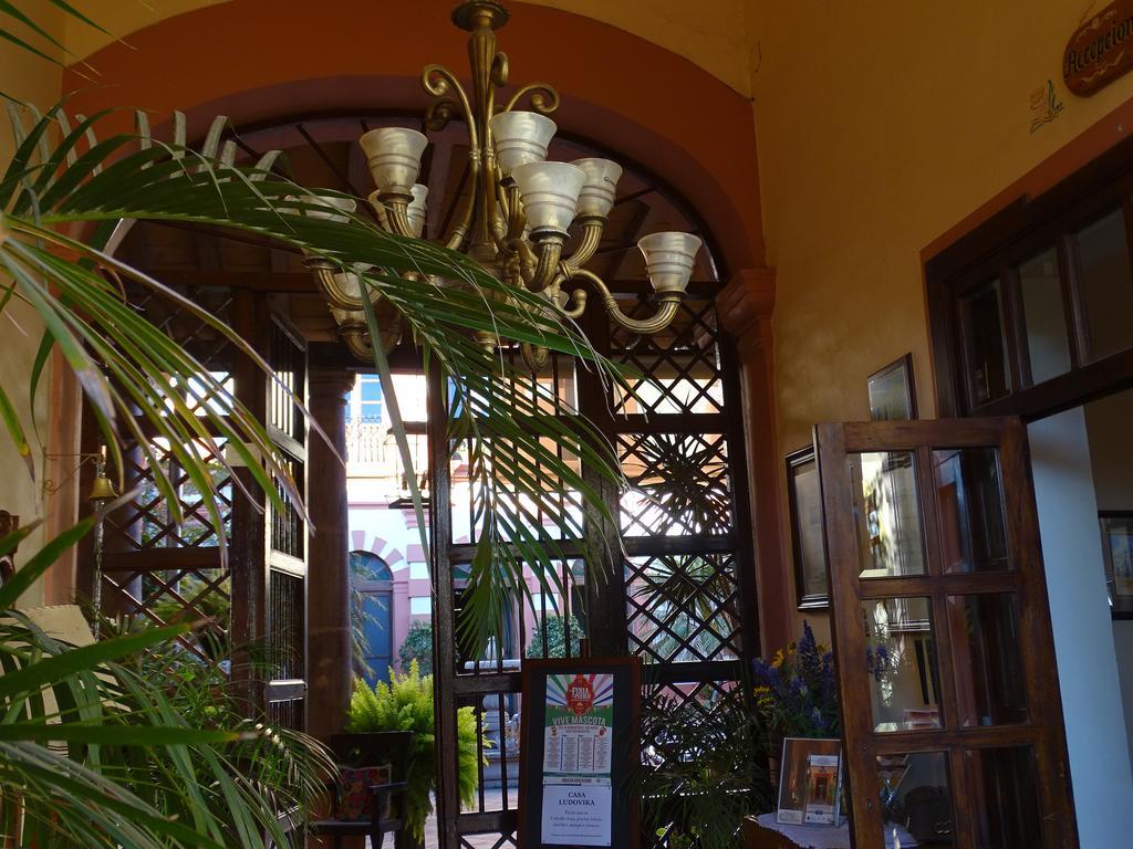 Santa Elena Hotel Boutique Mascota Bagian luar foto